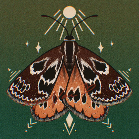 sun moth